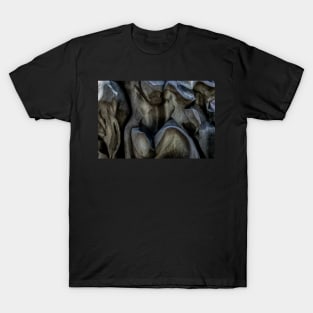 Sculptured shape up Close. T-Shirt